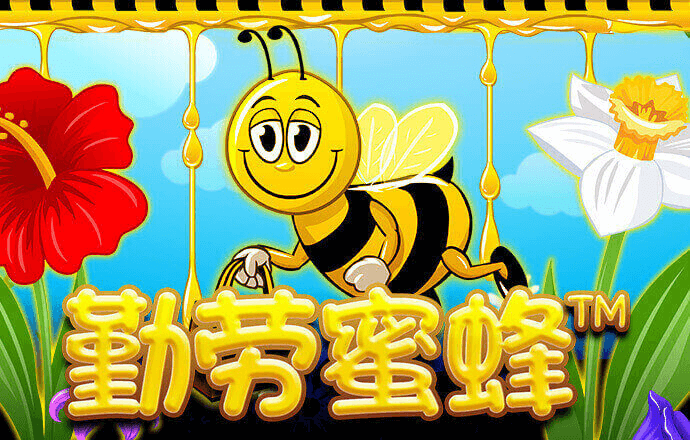 三亿体育官网app